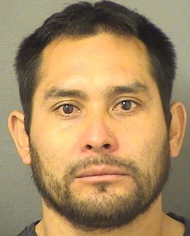  LEONARDO O'CAMPO GONZALEZ Resultados de la busqueda para Palm Beach County Florida para  LEONARDO O'CAMPO GONZALEZ