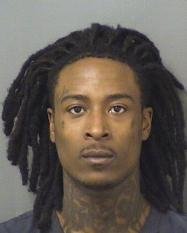  PHARRELL R JAMES Results from Palm Beach County Florida for  PHARRELL R JAMES