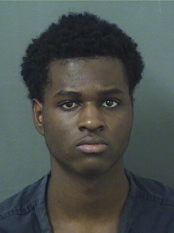  CHRISTLER RANEL JOSEPH Resultados de la busqueda para Palm Beach County Florida para  CHRISTLER RANEL JOSEPH