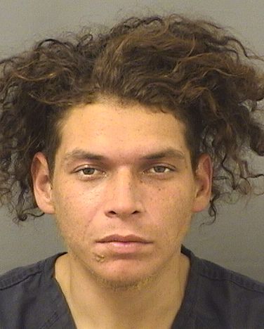  DYLAN ORION MCDOWELL Results from Palm Beach County Florida for  DYLAN ORION MCDOWELL