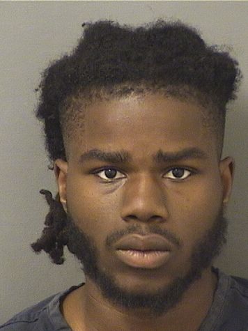  DENEL INNOCENT Results from Palm Beach County Florida for  DENEL INNOCENT