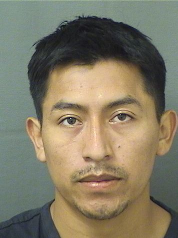  CARLOS ALEXANDER VASQUEZ VELASQUEZ Resultados de la busqueda para Palm Beach County Florida para  CARLOS ALEXANDER VASQUEZ VELASQUEZ