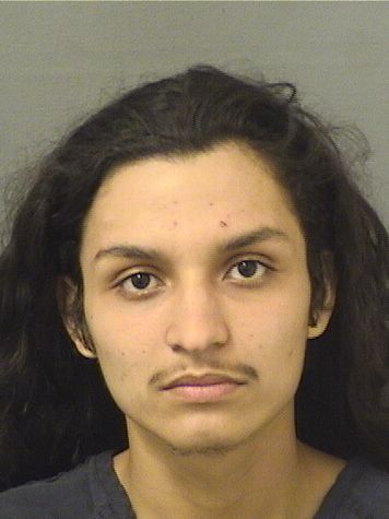  DANIEL J LOPEZ CASTRO Resultados de la busqueda para Palm Beach County Florida para  DANIEL J LOPEZ CASTRO