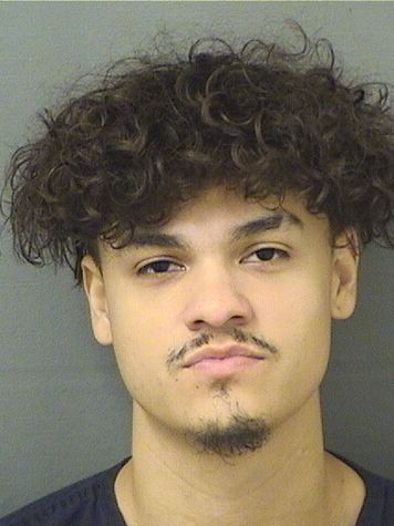  STEVEN LOAIZA Resultados de la busqueda para Palm Beach County Florida para  STEVEN LOAIZA