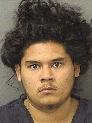  JULIAN SAMUEL MARTINEZ VARGAS Resultados de la busqueda para Palm Beach County Florida para  JULIAN SAMUEL MARTINEZ VARGAS