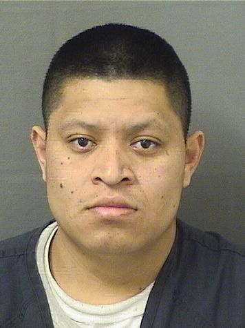  ALEX LAINEZAGUILAR Resultados de la busqueda para Palm Beach County Florida para  ALEX LAINEZAGUILAR