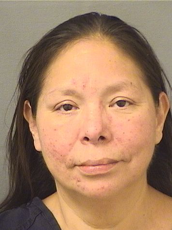  ANDREA MAUREEN CABRERA Resultados de la busqueda para Palm Beach County Florida para  ANDREA MAUREEN CABRERA