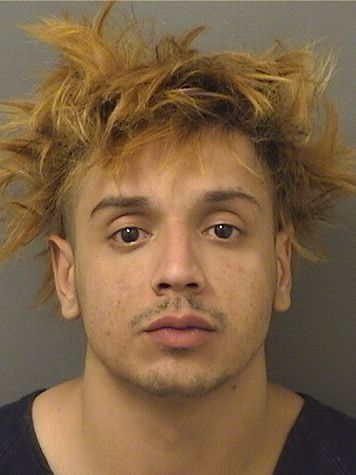  DAVID GABRIEL REYNA Resultados de la busqueda para Palm Beach County Florida para  DAVID GABRIEL REYNA