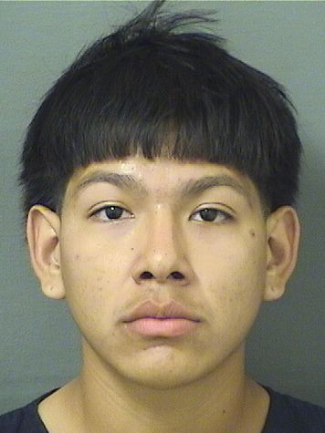  ERIKK RAUL ALCANTARATAVAREZ Resultados de la busqueda para Palm Beach County Florida para  ERIKK RAUL ALCANTARATAVAREZ