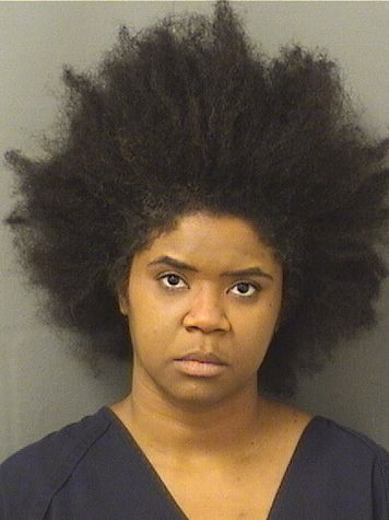  YAZAVELIS ALFONSECA Results from Palm Beach County Florida for  YAZAVELIS ALFONSECA