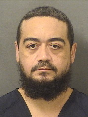  RAMON A IGNACIO Results from Palm Beach County Florida for  RAMON A IGNACIO