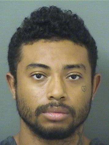  TLEIK ADRIAN CARBAJAL Results from Palm Beach County Florida for  TLEIK ADRIAN CARBAJAL