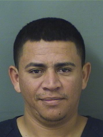  WILSON DANIEL ROMERO MUNGUIA Resultados de la busqueda para Palm Beach County Florida para  WILSON DANIEL ROMERO MUNGUIA