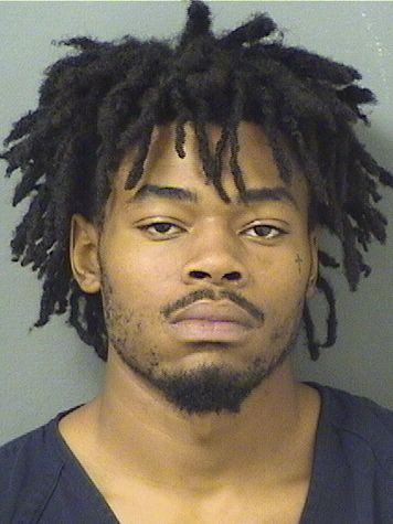  JOVONNE TRIANDOS WHITE II Resultados de la busqueda para Palm Beach County Florida para  JOVONNE TRIANDOS WHITE II