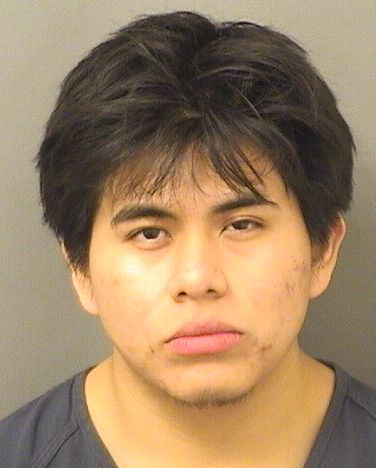  JOSE MIGUEL DOMINGO Resultados de la busqueda para Palm Beach County Florida para  JOSE MIGUEL DOMINGO
