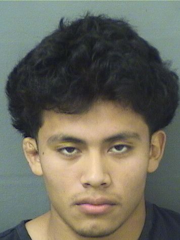 DOMINIC A HERNANDEZ Resultados de la busqueda para Palm Beach County Florida para  DOMINIC A HERNANDEZ