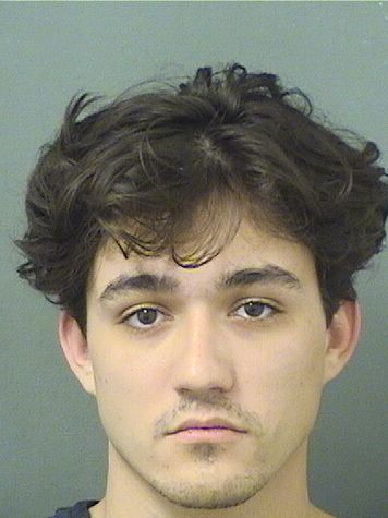  MICHELL LEE BELLER Resultados de la busqueda para Palm Beach County Florida para  MICHELL LEE BELLER