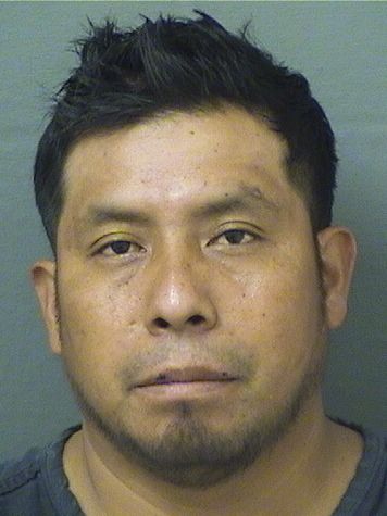  JOSE PEREZFELIPE Resultados de la busqueda para Palm Beach County Florida para  JOSE PEREZFELIPE