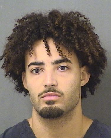  DWAYNE QUENTIN ROSS Results from Palm Beach County Florida for  DWAYNE QUENTIN ROSS