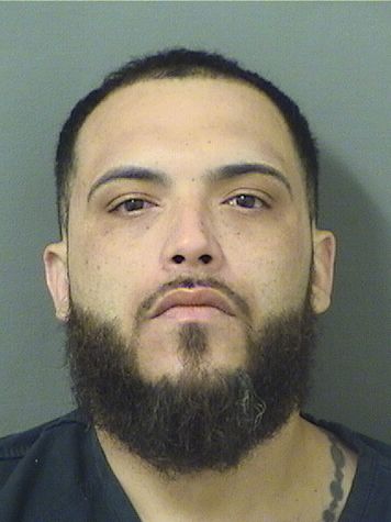  CHRISTOPHER DAVID ALBANESE Results from Palm Beach County Florida for  CHRISTOPHER DAVID ALBANESE