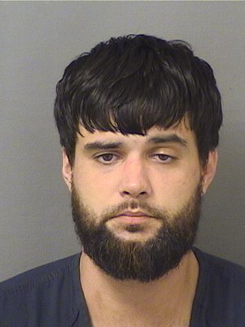  MICHAEL JOSEPH PERRONE Results from Palm Beach County Florida for  MICHAEL JOSEPH PERRONE