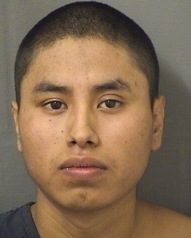  MIGUEL APJPUZLOPEZ Results from Palm Beach County Florida for  MIGUEL APJPUZLOPEZ