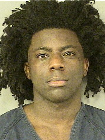  BRYAN MICHEL Results from Palm Beach County Florida for  BRYAN MICHEL