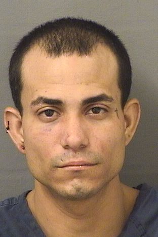  EUDALDO ROLDANINFANTE Results from Palm Beach County Florida for  EUDALDO ROLDANINFANTE