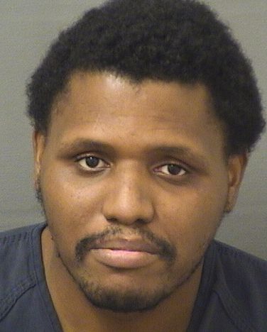  DOMINIC FRANCIS Results from Palm Beach County Florida for  DOMINIC FRANCIS