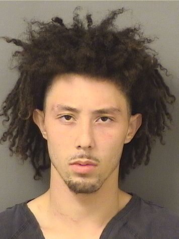  LUIS GILBERT GONZALEZ Results from Palm Beach County Florida for  LUIS GILBERT GONZALEZ