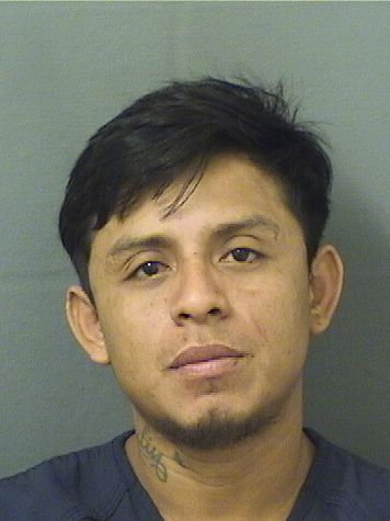  JULIO CESAR SANTIAGORASGADO Results from Palm Beach County Florida for  JULIO CESAR SANTIAGORASGADO