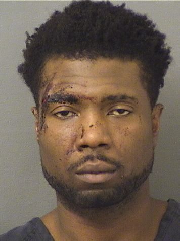  GERARD G LAING Resultados de la busqueda para Palm Beach County Florida para  GERARD G LAING