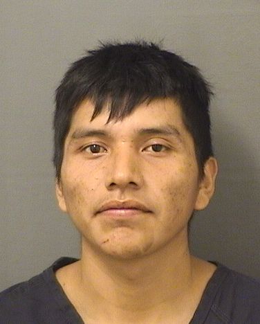  DARIO E RUIZ ARGUETA Resultados de la busqueda para Palm Beach County Florida para  DARIO E RUIZ ARGUETA