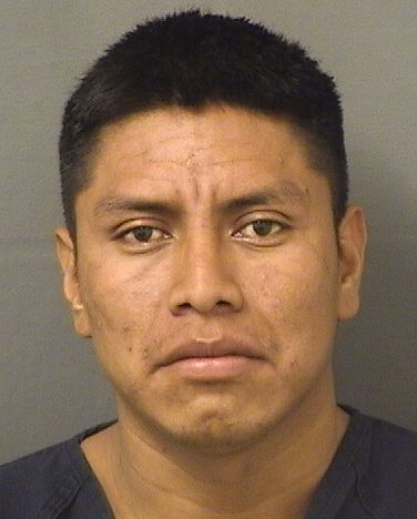  ROMARIO ORLANDO PEREZ VELASQUEZ Resultados de la busqueda para Palm Beach County Florida para  ROMARIO ORLANDO PEREZ VELASQUEZ