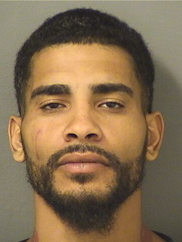  JUSTIN ALBERTO PABELLON Resultados de la busqueda para Palm Beach County Florida para  JUSTIN ALBERTO PABELLON