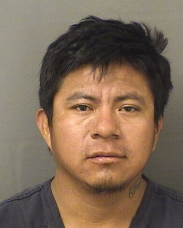  MARIO PEREZSALES Results from Palm Beach County Florida for  MARIO PEREZSALES