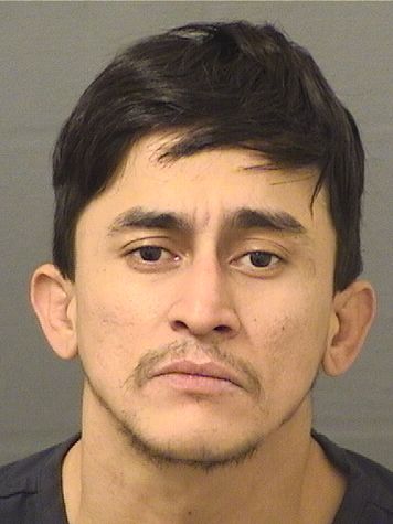  JHON WILLIAMS FARIAS FERNANDEZ Results from Palm Beach County Florida for  JHON WILLIAMS FARIAS FERNANDEZ