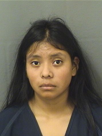  JASMINE E MORALES HERNANDEZ Results from Palm Beach County Florida for  JASMINE E MORALES HERNANDEZ