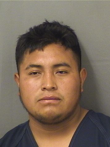  ABELINO LOPEZ SANCHEZ Results from Palm Beach County Florida for  ABELINO LOPEZ SANCHEZ