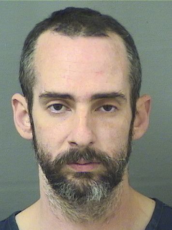  BRIAN JOHN PUGLISI Results from Palm Beach County Florida for  BRIAN JOHN PUGLISI