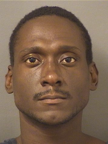  WEBSMAN JUNIOR SAGESSE Photo