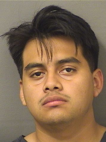  JUAN RAMOS Results from Palm Beach County Florida for  JUAN RAMOS