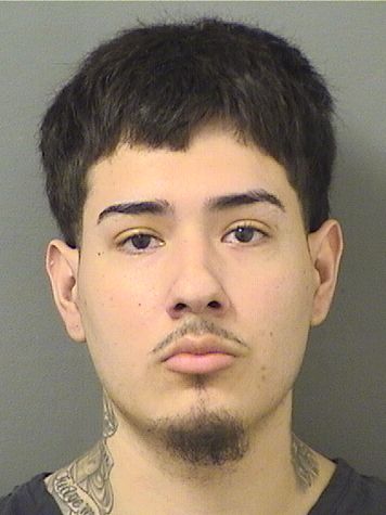  HERIDSON J RIVERASALAZAR Results from Palm Beach County Florida for  HERIDSON J RIVERASALAZAR