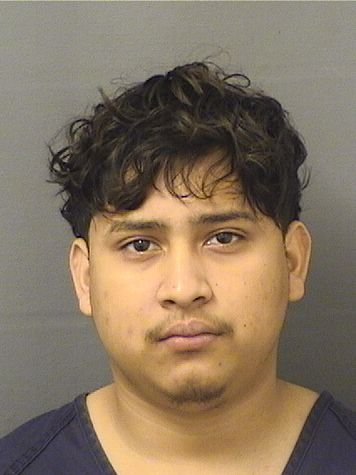  WILMER ARIEL VASQUEZ RAMOS Results from Palm Beach County Florida for  WILMER ARIEL VASQUEZ RAMOS
