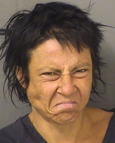  MARIA MICHELLE LEMIRE Resultados de la busqueda para Palm Beach County Florida para  MARIA MICHELLE LEMIRE