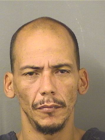  KELVIN RADAMES CARREROSAGARDIA Resultados de la busqueda para Palm Beach County Florida para  KELVIN RADAMES CARREROSAGARDIA