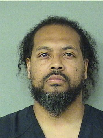  PETER HUMBERTO MEIGHAN Results from Palm Beach County Florida for  PETER HUMBERTO MEIGHAN