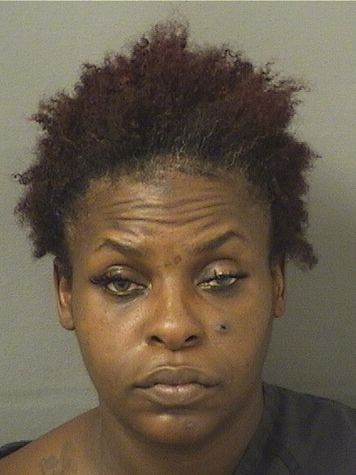  BARBARA NORZEA Resultados de la busqueda para Palm Beach County Florida para  BARBARA NORZEA