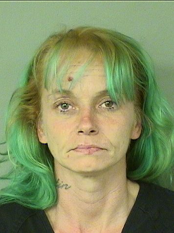  RHONDA E JOHNSON Results from Palm Beach County Florida for  RHONDA E JOHNSON