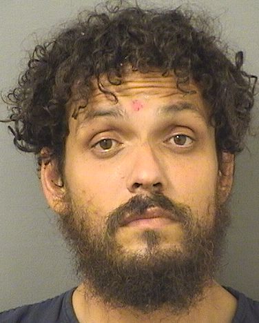  RICARDO TOMAS NAVAMUEL Resultados de la busqueda para Palm Beach County Florida para  RICARDO TOMAS NAVAMUEL